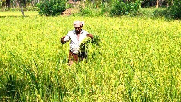 agri