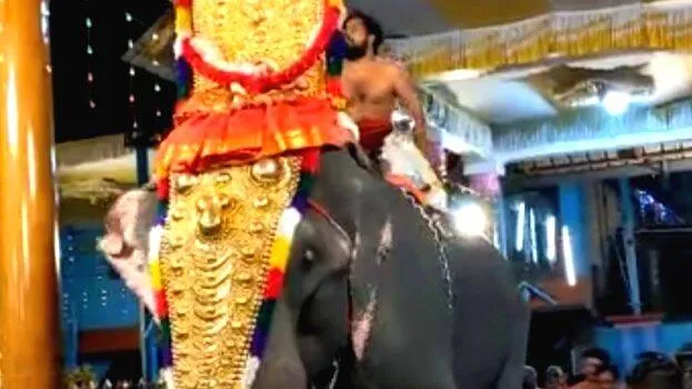 malayalapuzha-rajan-