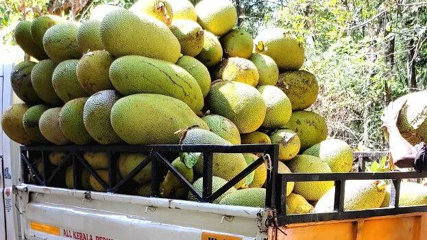chakka