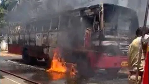 bus