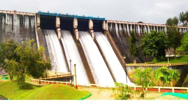 neyyar