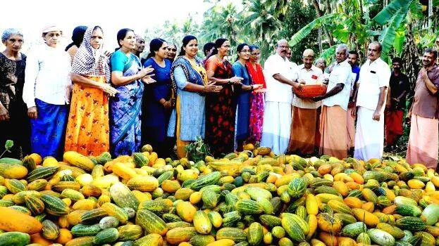 karuvakkod