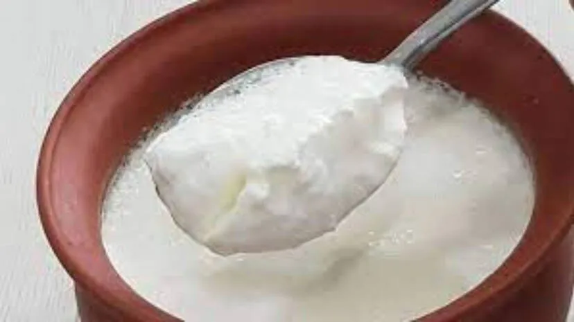dahi