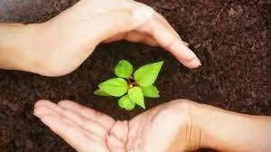 agriculture-insurance