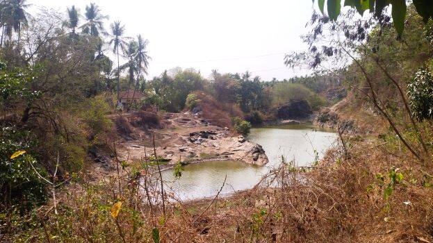 parakulam