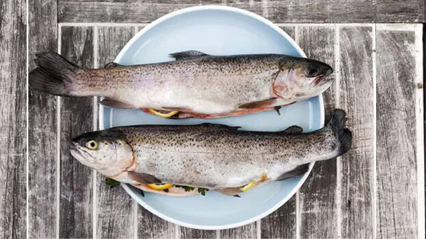 river-fish