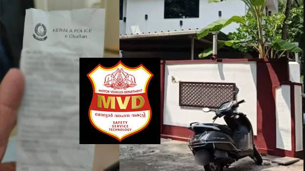 fine-mvd