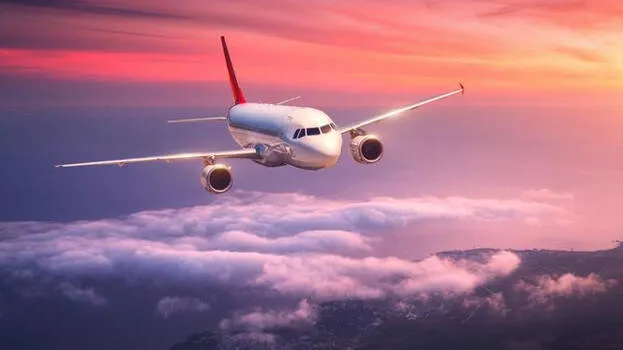 flight