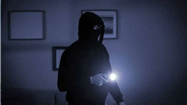 thief