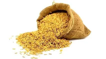 paddy