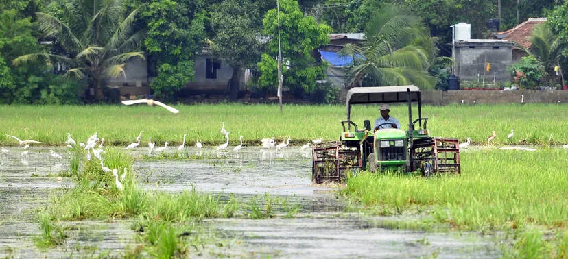 Kerala Kaumudi Photo Gallery