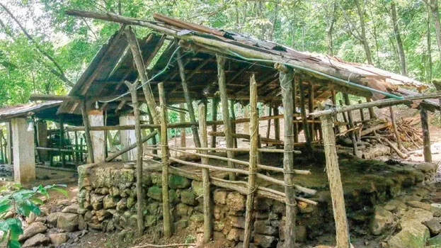 cow-shelter