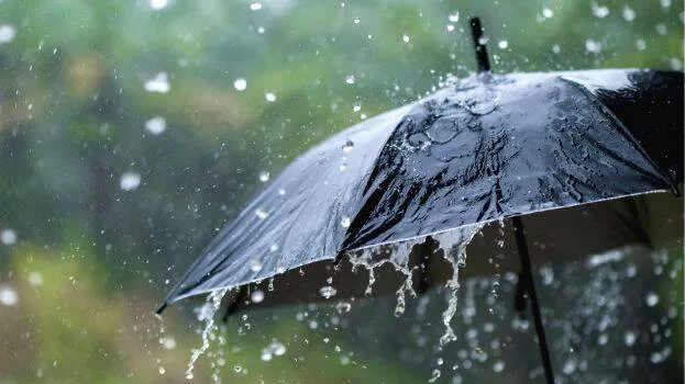 rain
