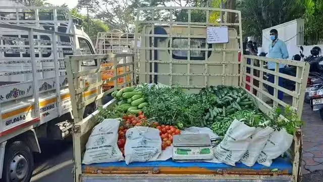 vegetable