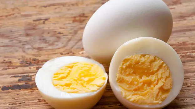 egg