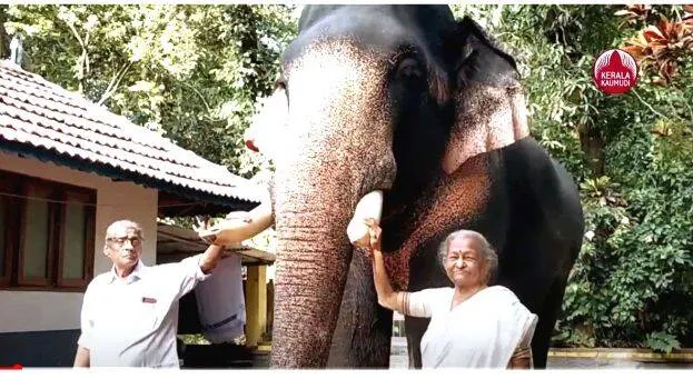 elephent