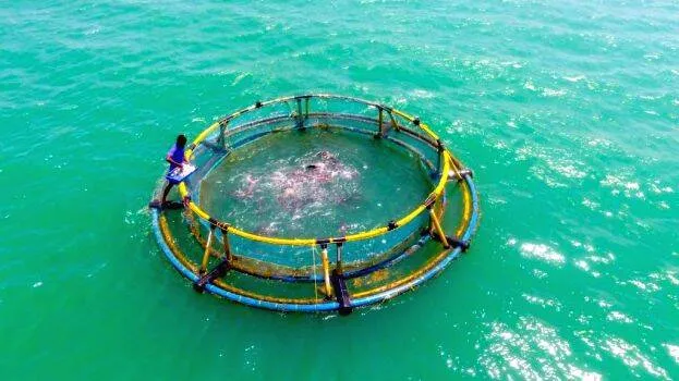mariculture