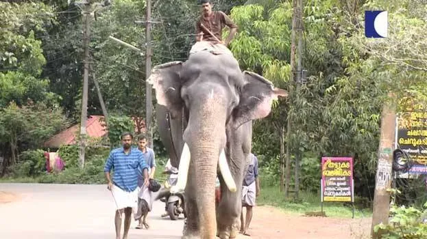 pambady-rajan