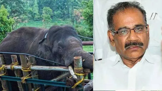 arikomban