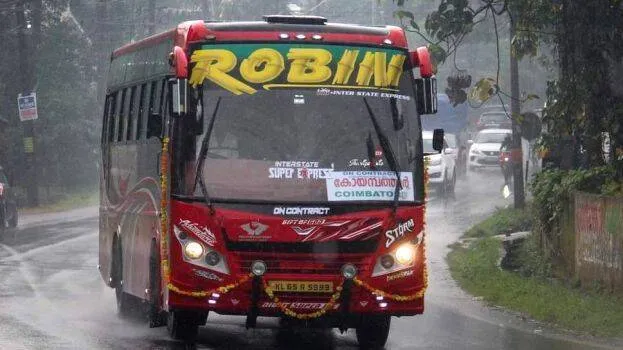 robin