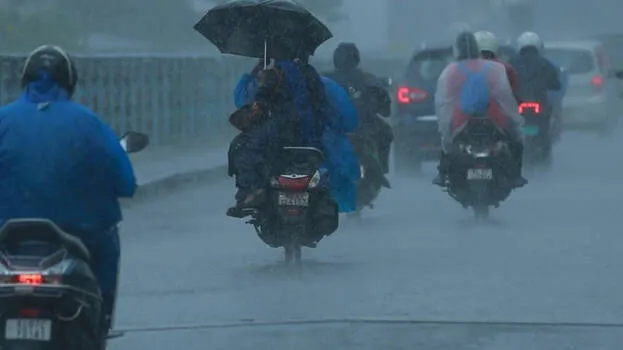 rain