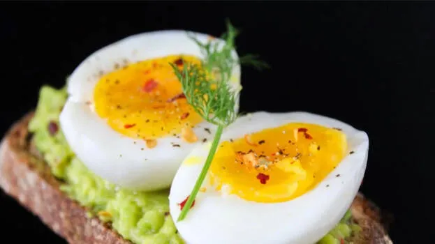 egg
