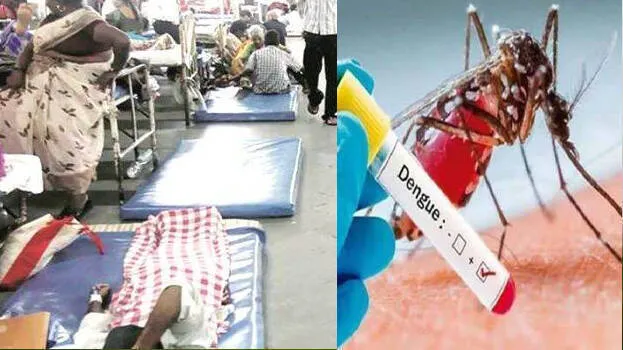 dengue