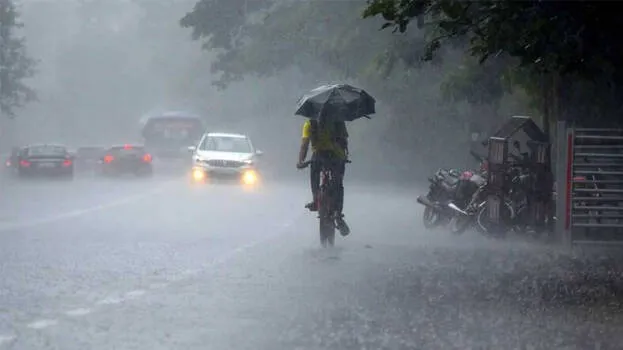 rain-