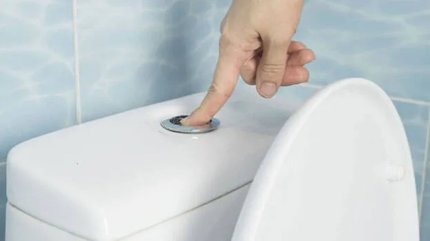 toilet