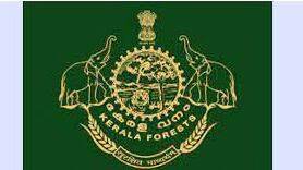 forest-department