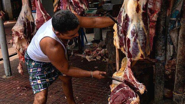 meat meat