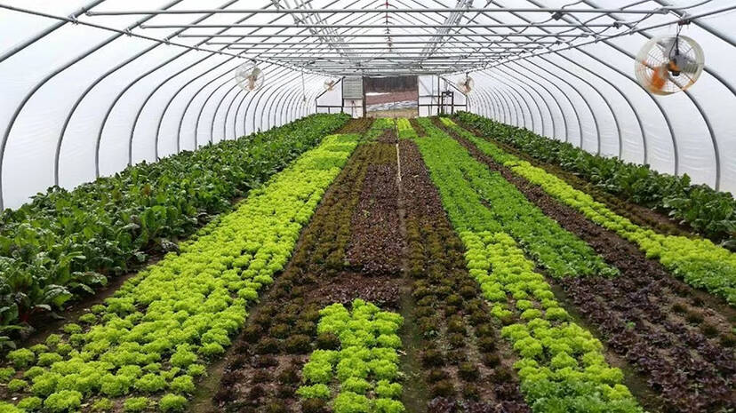 agri agri