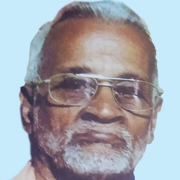 raman-86 raman-86