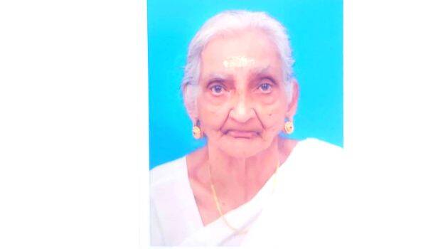 narayani narayani