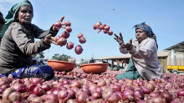 onion