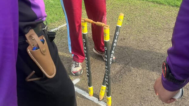 cricket cricket