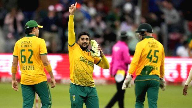 cricket cricket