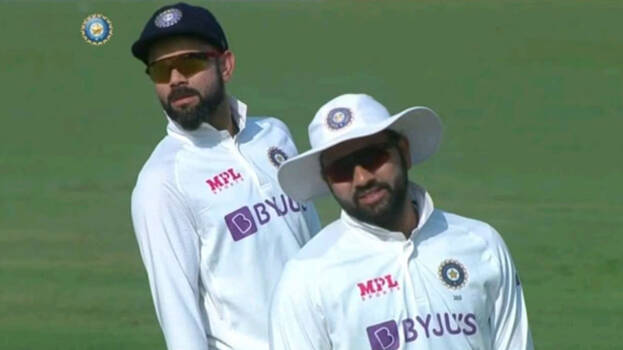 cricket cricket