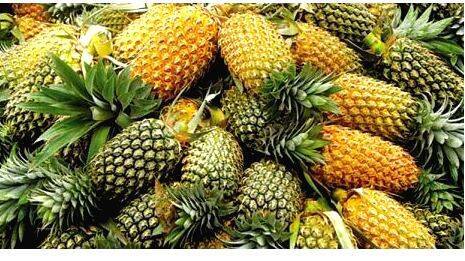 pineapple pineapple