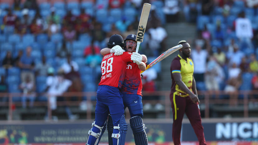 cricket cricket