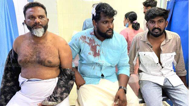 youth-congress-and-dyfi youth-congress-and-dyfi