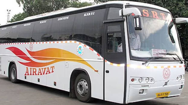 bus bus