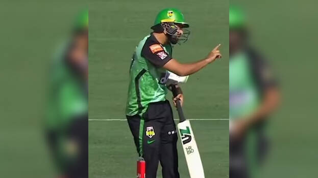 harris-rauf harris-rauf