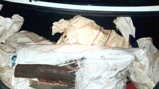 smuggling smuggling