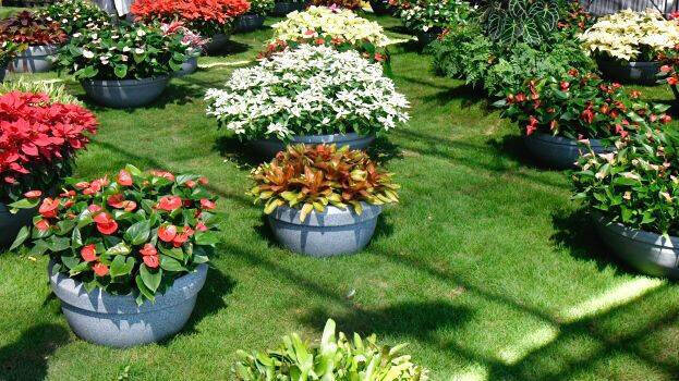 container-garden container-garden