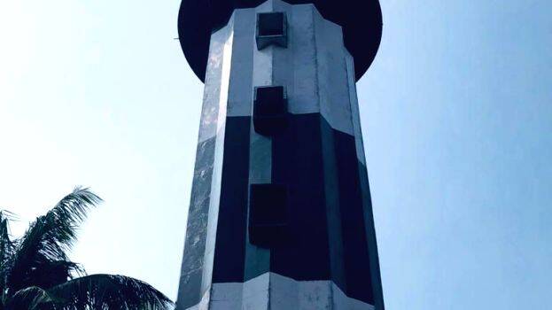 d d