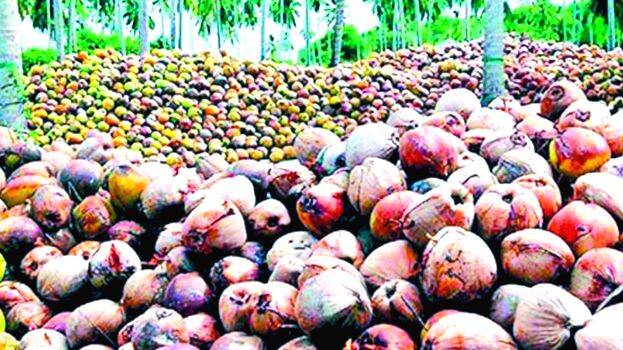 agri agri