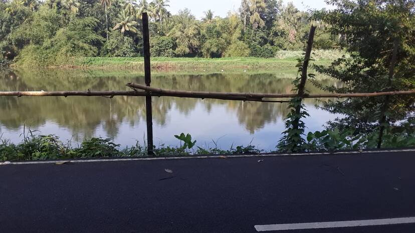 pandanad pandanad
