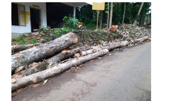 road- road-