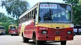 bus bus